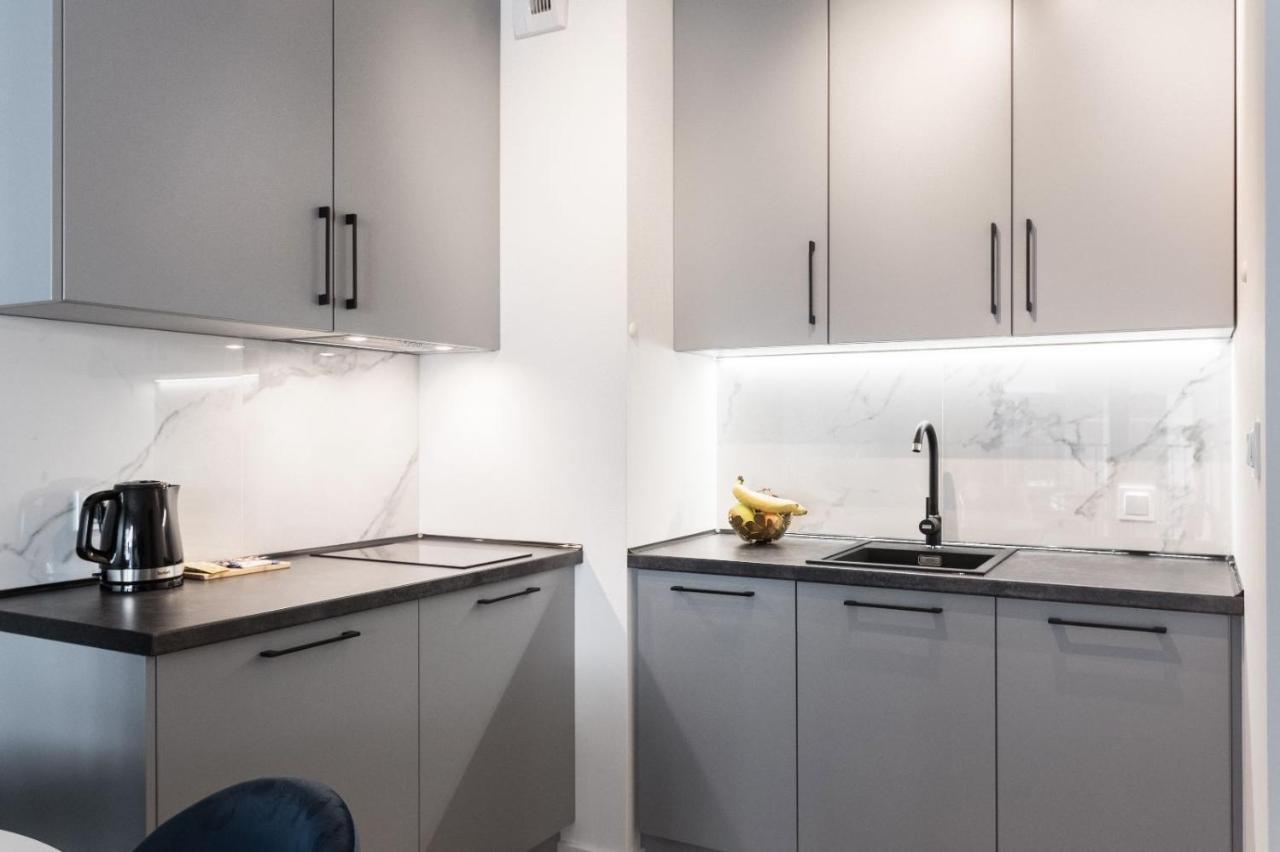 פוזנן Apartamenty Gasiorowskich 4 מראה חיצוני תמונה